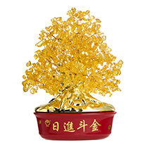 招財樹 金門高粱 58度